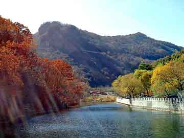 奥门天天开奖免费资料，白马寺正骨膏